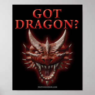 Affiche T'as du dragon ?