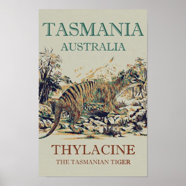 Affiche Tasmanie tigre, thylacine, Tasmanie Australie (Devant)