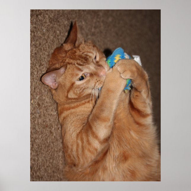 Affiche Tater (Devant)