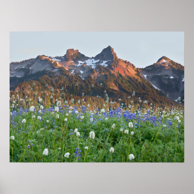 Affiche Tatoosh Range et fleurs sauvages | Mt. Rainier (Devant)