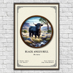Affiche Taureau Black Angus Série de zoologie