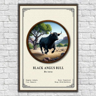 Affiche Taureau Black Angus Série de zoologie
