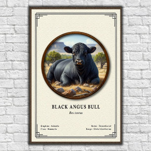 Affiche Taureau Black Angus Série de zoologie