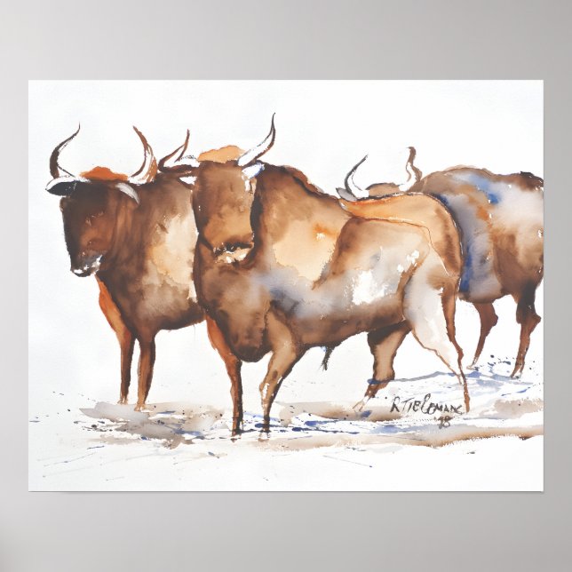 Affiche Taureaux (Devant)