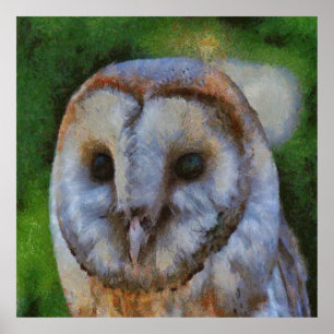 Affiche Tawny Owl En Pointillisme