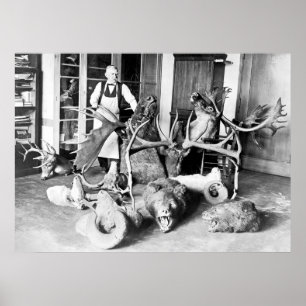 Affiche Taxidermiste professionnel : 1923