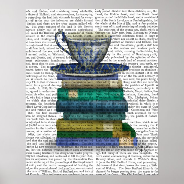 Affiche Teacup et livres (Devant)