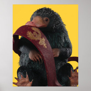 Affiche Teddy Avec Cravate Graphique