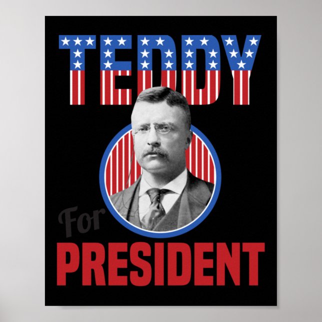 Affiche Teddy Roosevelt Pour Président Bull Moose Theodore (Devant)