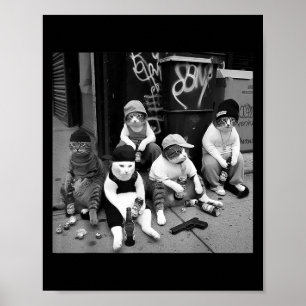 Affiche Tee de chat Gangster Mexicaine, Stre de chat Gangs