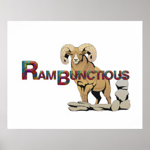 Affiche TEE Rambunctive