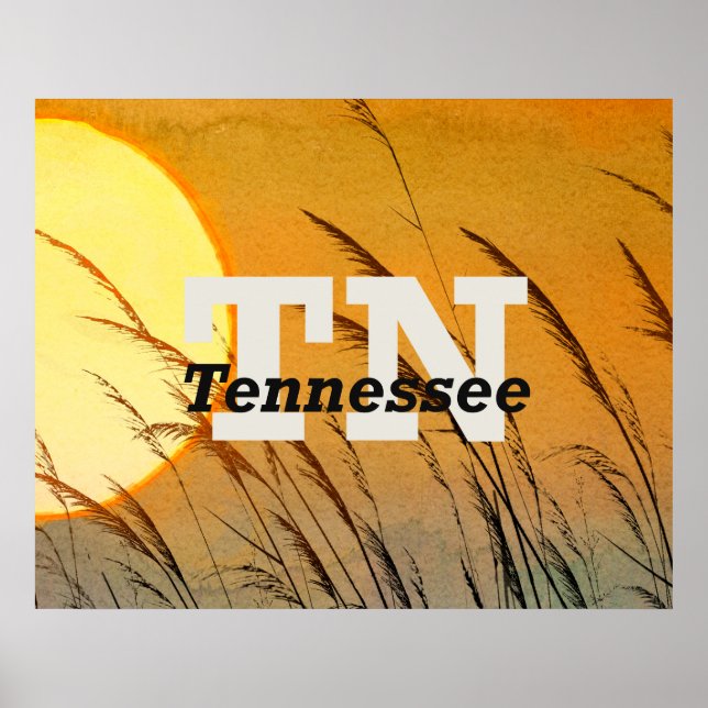Affiche TEE Tennessee (Devant)