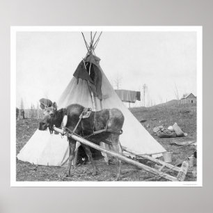 Affiche Teepee fonctionnant 1916 d'orignaux