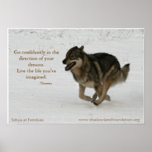 Affiche Tehya sur l'affiche Freedom Wolflection