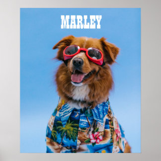 Affiche TÉLÉCHARGEMENT NUMÉRIQUE DE L'OEuvre