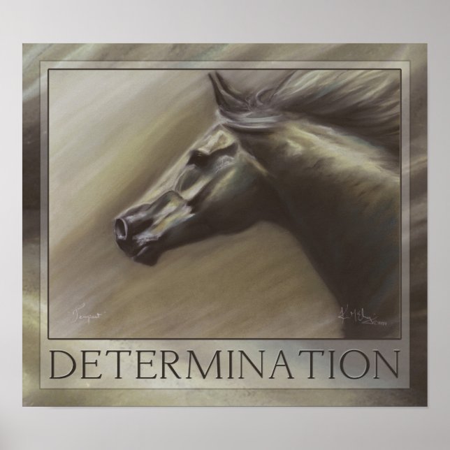 Affiche Tempête (Devant)