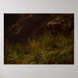 Affiche Tempête dans les Rocheuses, Mont Rosalie