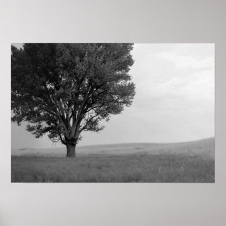 Affiche Tempête Sèche Au-Dessus Des Prairies De L'Oklahoma