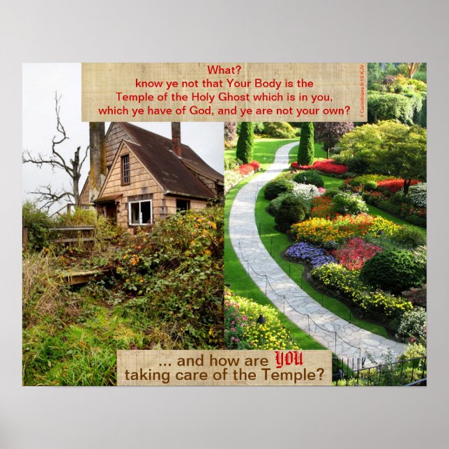 Affiche Temple II de Dieu (Devant)