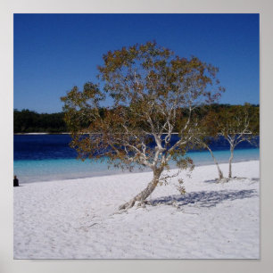 Affiche Temps de détente