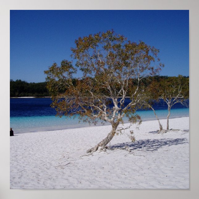 Affiche Temps de détente (Devant)