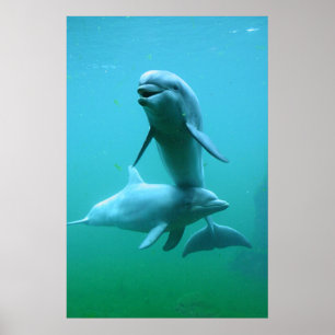 Affiche Temps de lecture