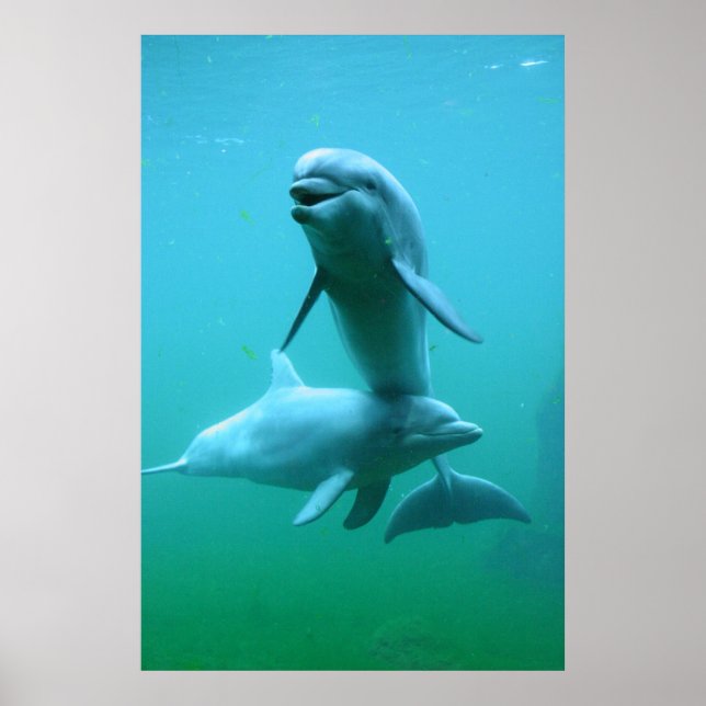 Affiche Temps de lecture (Devant)