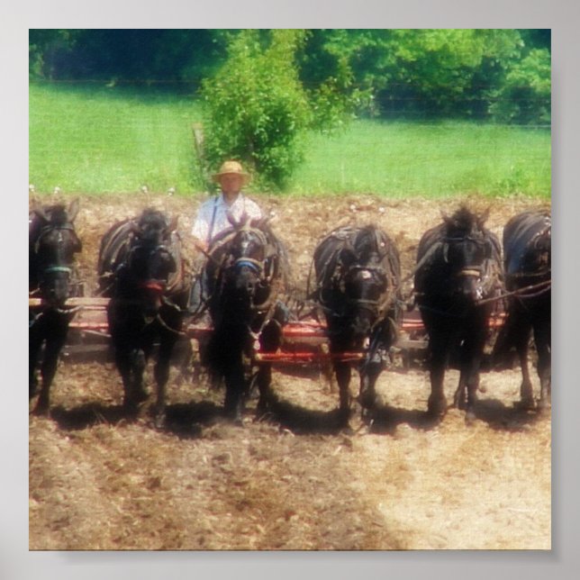 Affiche Temps de plantation (Devant)