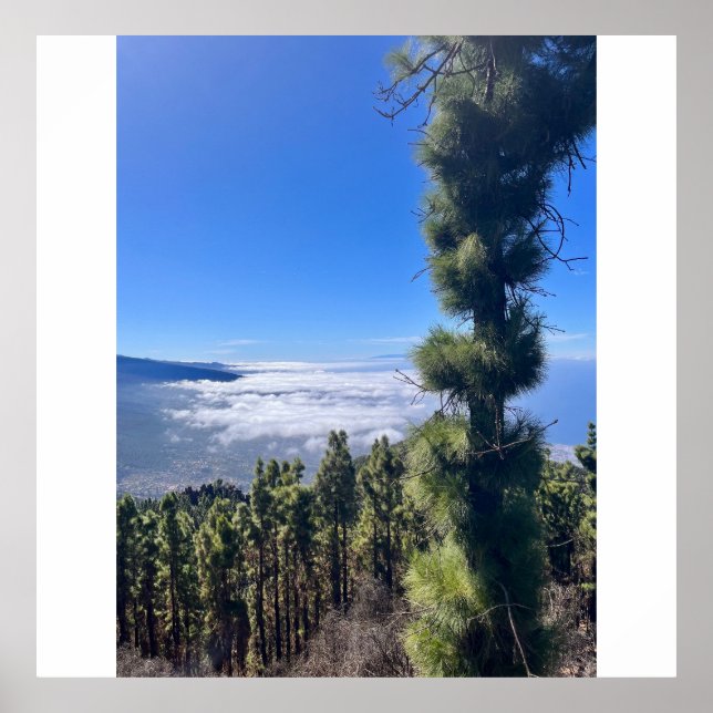 Affiche Tenerife bliss.. (Devant)