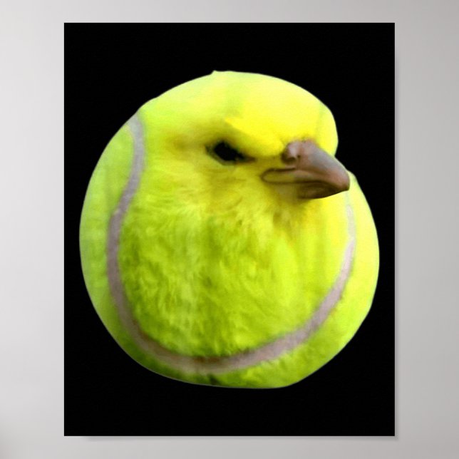 Affiche Tennis Bird Meme Round Budgie Tennis Ball  (Devant)