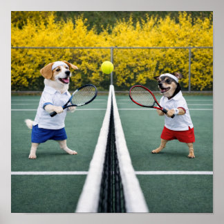 Affiche "Tennis pour tous ?"