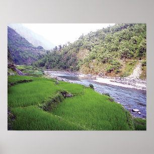 Affiche Terace du riz de la rivière Katmandou