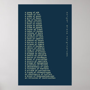 Affiche Terminologie du groupe animal