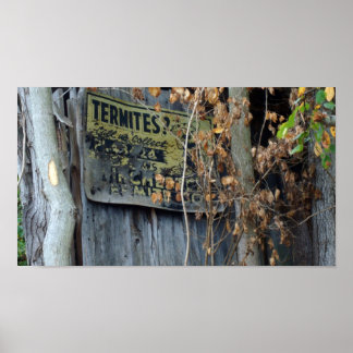 Affiche Termites?