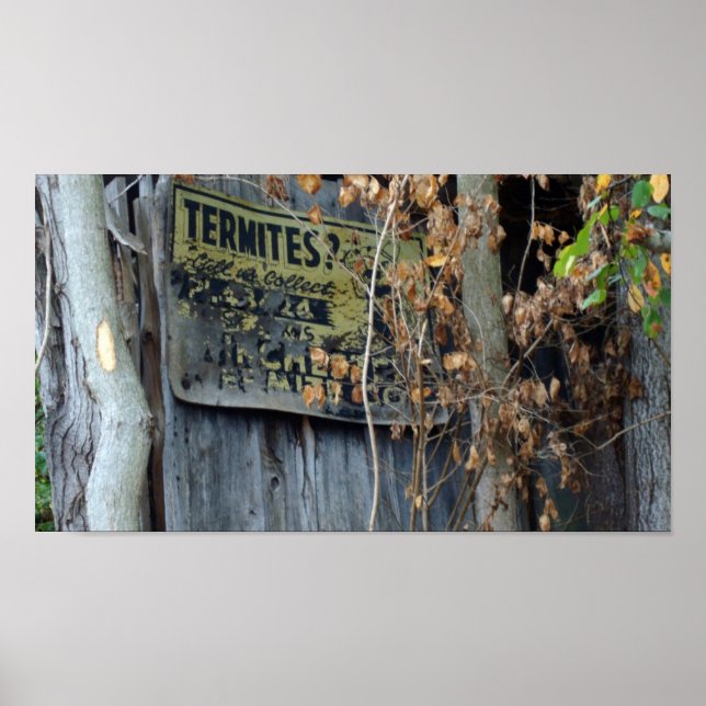 Affiche Termites? (Devant)