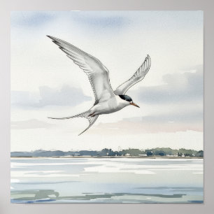Affiche Terne survolant la baie
