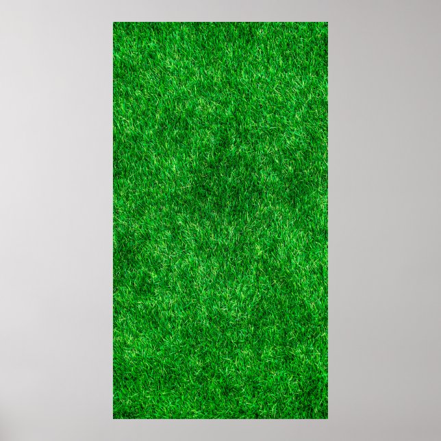 Affiche Terrain de jardin de pelouse (Devant)