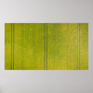 Affiche Terrain d'herbe verte