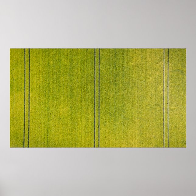 Affiche Terrain d'herbe verte (Devant)