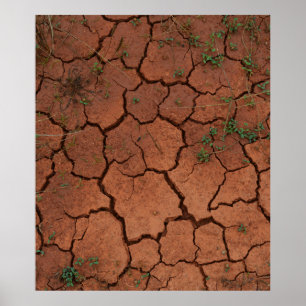 Affiche terrain sec et fissuré