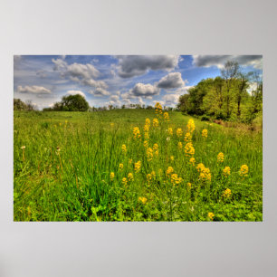 Affiche Terrain vert et ciel bleu nuageux