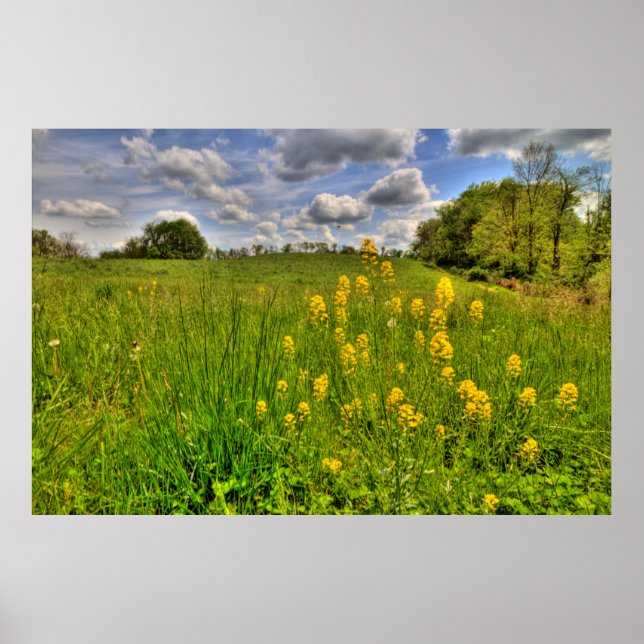 Affiche Terrain vert et ciel bleu nuageux (Devant)