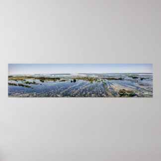 Affiche Terramar Beach-Carlsbad