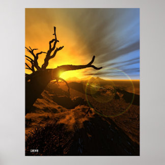 Affiche Terre de Barren