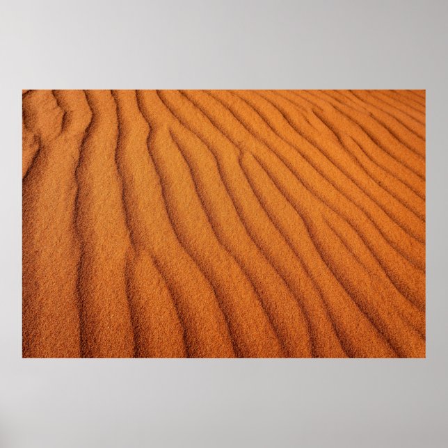 Affiche Terre désertique (Devant)