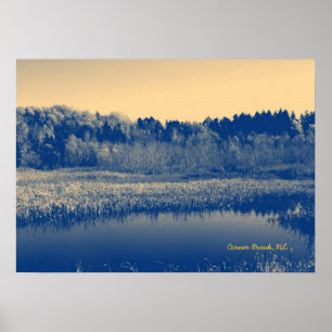 Affiche Terre-Neuve, Canada, Marshlands Arbres et Eaux
