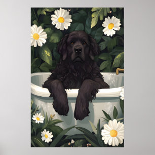 Affiche Terre-Neuve dans la baignoire, Affiche drô