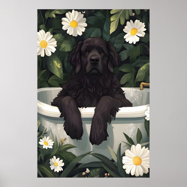 Affiche Terre-Neuve dans la baignoire, Affiche drô (Devant)