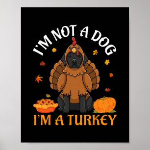 Affiche Terre-Neuve Je ne suis pas un chien je suis une di