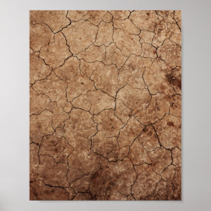 Affiche Terre sèche